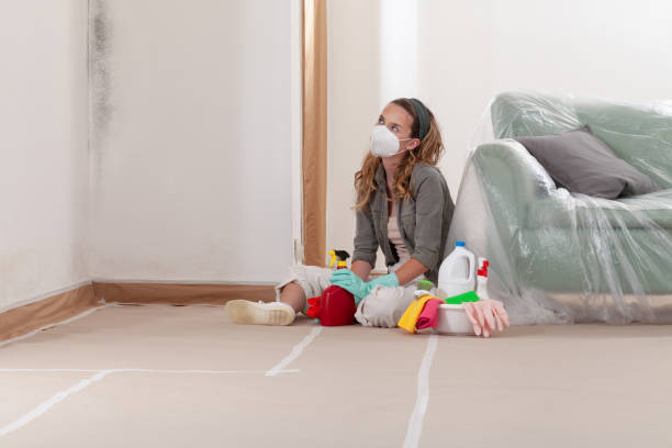 Reliable Commercial Mold Remediation contractor in Emmitsburg, MD by WQB Mold Removal